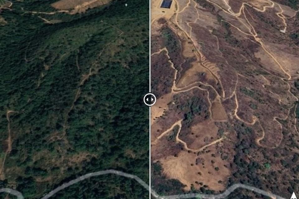 Al menos 30 mil hectáreas han sido deforestadas en Michoacán entre 2018 y 2023, y se han identificado 817 huertas ilegales como parte del programa Guardián Forestal del Gobierno local.