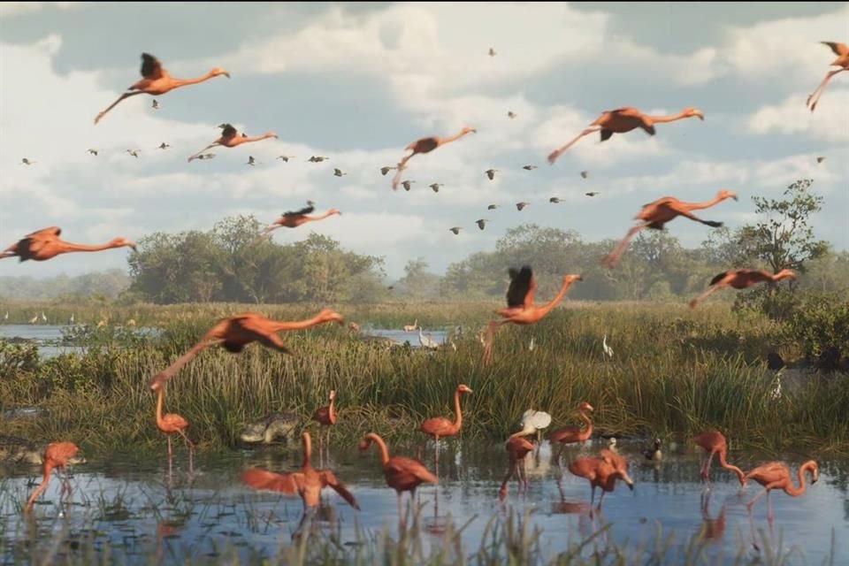 GTA VI está inspirado en la Península de Florida e incluso muestra parte de la fauna.