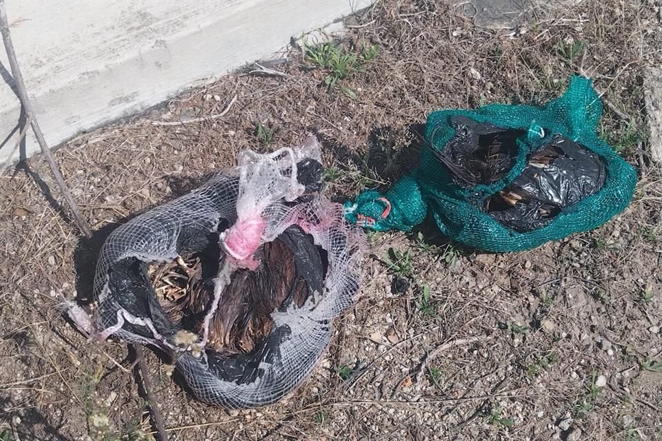 En un recorrido en Mezquitán, se hallaron dos bolsas con animales muertos.