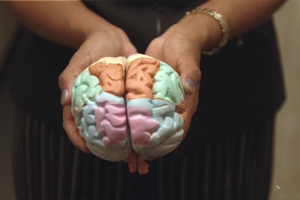 Gracias al Código Cerebro, personal del IMSS ha salvado cientos de vida, al aplicar con prontitud procedimientos ante infartos cerebrales.