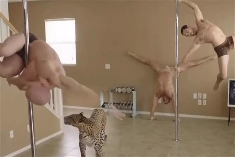 La publicación es un video bastante inusual, el cual enfoca a tres hombres bailando alrededor de un leopardo alimentándose de un recipiente plateado.