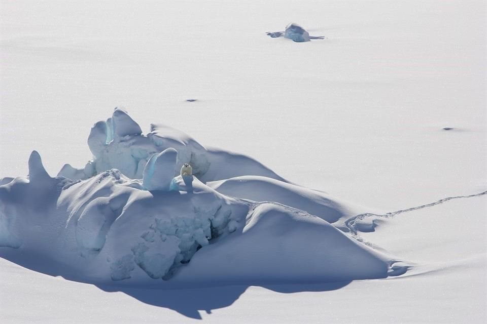 La llamada última zona helada del Ártico registró su concentración más baja de hielo marino el año pasado debido al cambio climático.