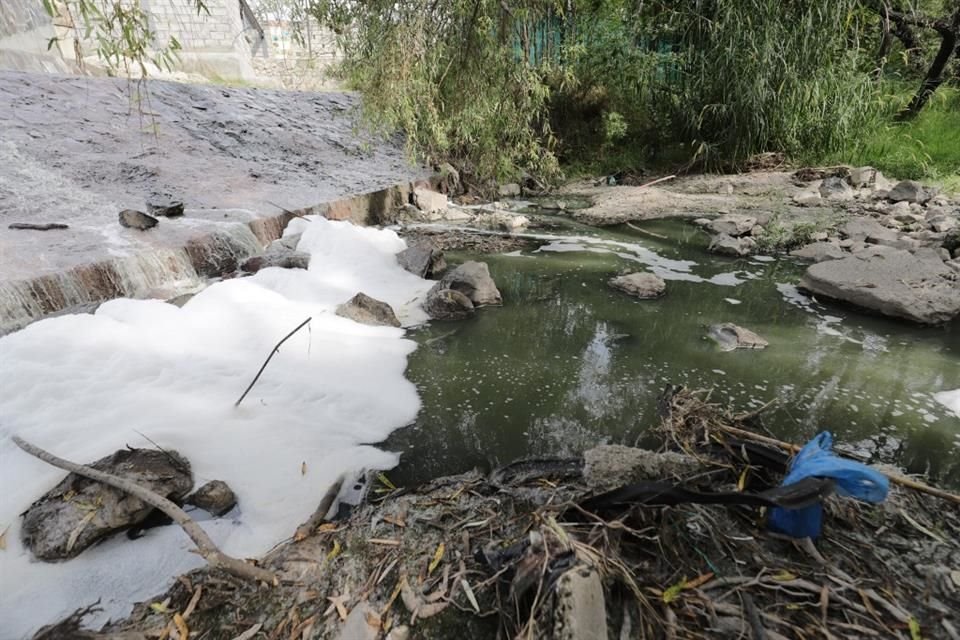 El Bosque Pedagógico del Agua recibe al visitante con olor a drenaje, pues los arroyos que lo atraviesan son usados como cloacas.