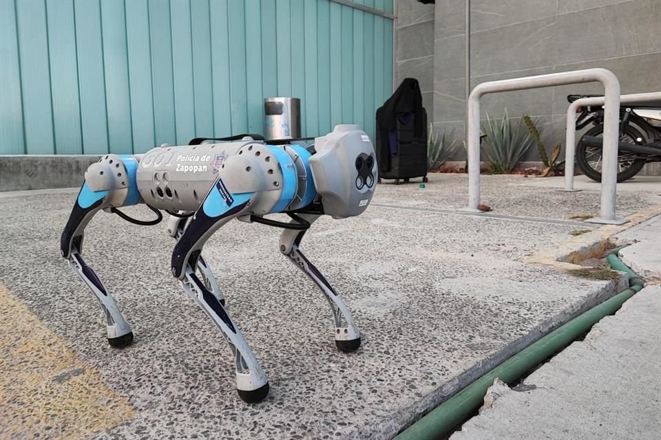 En un decomiso de mariguana, la Policía de Zapopan mostró por primera vez el perro robot que se había anunciado en octubre.