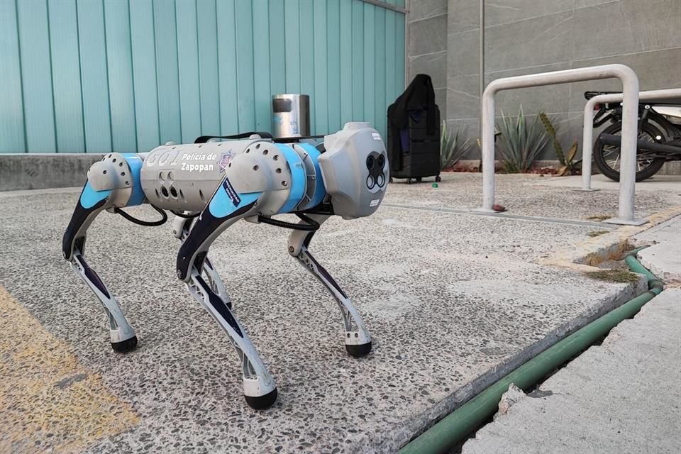 El perro robot fue parte de un operativo en el que aseguraron mariguana el 31 de diciembre.