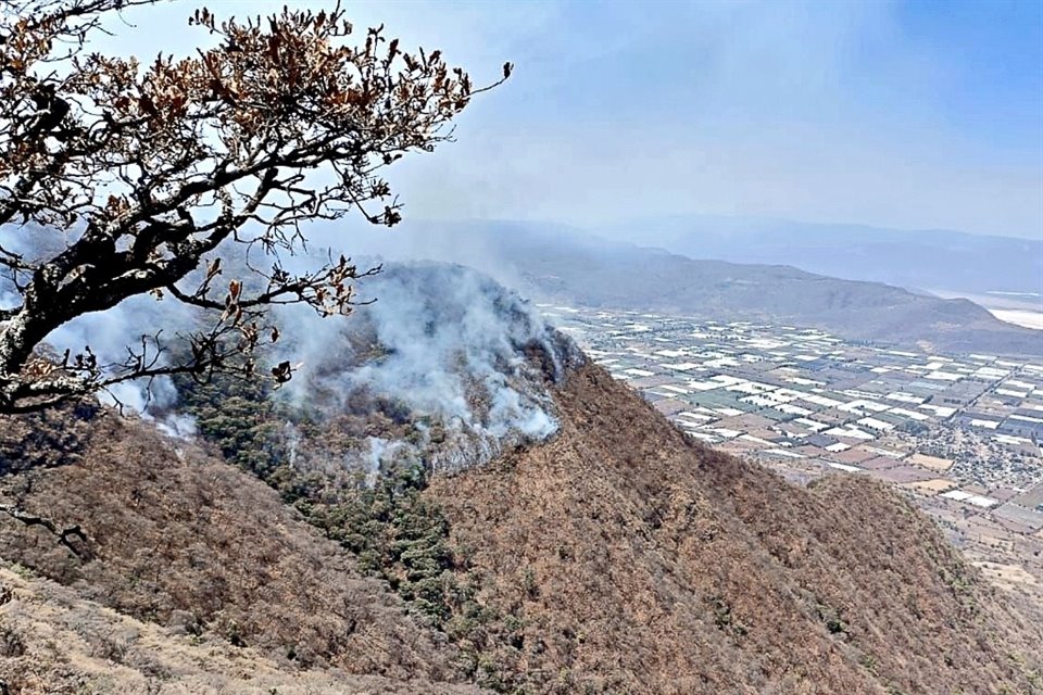 El año pasado, el Estado alcanzó la mayor cantidad de incendios forestales.