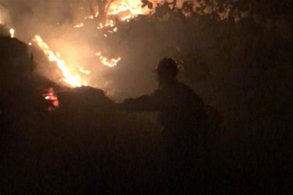 El Bosque La Primavera registró 87 incendios forestales durante 2023.