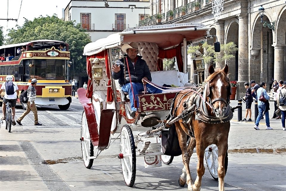 El 13 de octubre pasado el cabildo de Guadalajara aprobó erradicar ya las calandrias tiradas por caballos para implementar sólo vehículos eléctricos.