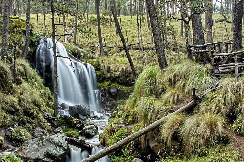 El arte de viajar consiste en atrapar con la memoria y la fotografía, los paisajes, rostros, alimentos y espectáculos de la naturaleza.