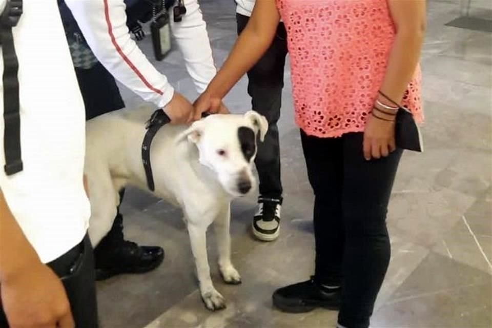 Tras el rescate, el usuario se retiró del lugar luego de agradecer al personal del Metro por la ayuda que le brindaron.