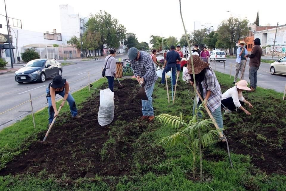 Vecinos de colonias aledañas al camellón de Federalismo y Francisco Zarco, realizan cultivo de alimento. El proyecto busca generar conciencia sobre los residuos compostables y  el trabajo comunitario.