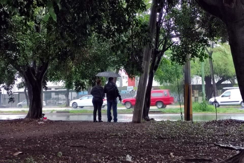 En Zapopan, las rachas de viento superan los 40 km/h y la lluvia sorprendi a algunas personas.