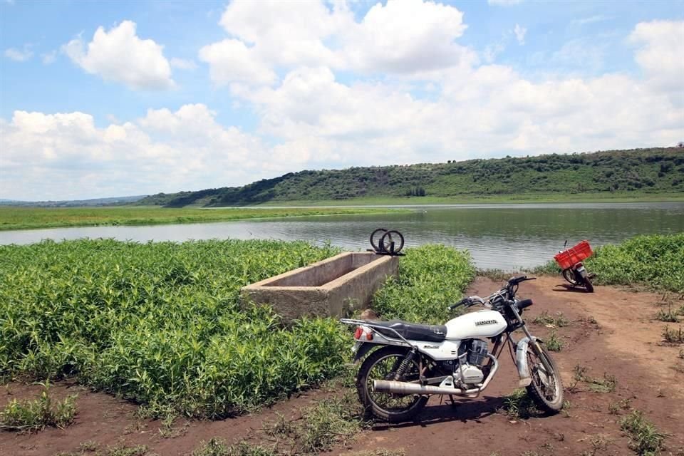 Ni el primer mes de lluvias con ciclones tropicales incluidos ha ayudado a la presa 'Calderón', cuyo nivel sigue a la baja.