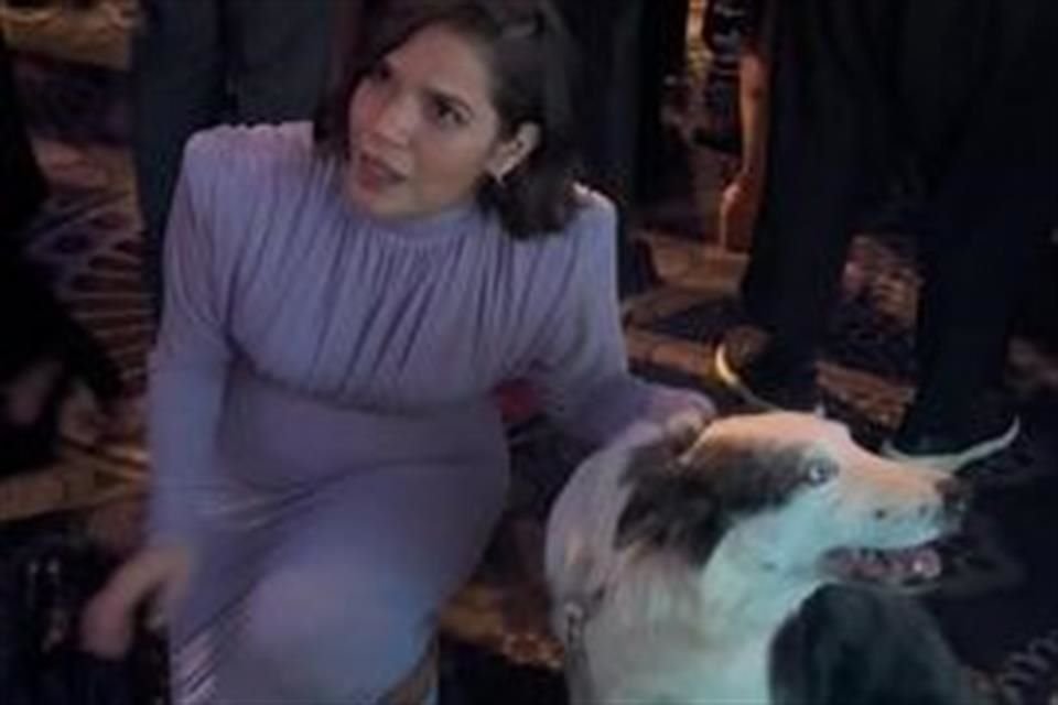 America Ferrera se tomó un momento para tomarse fotos con el perro Messi.