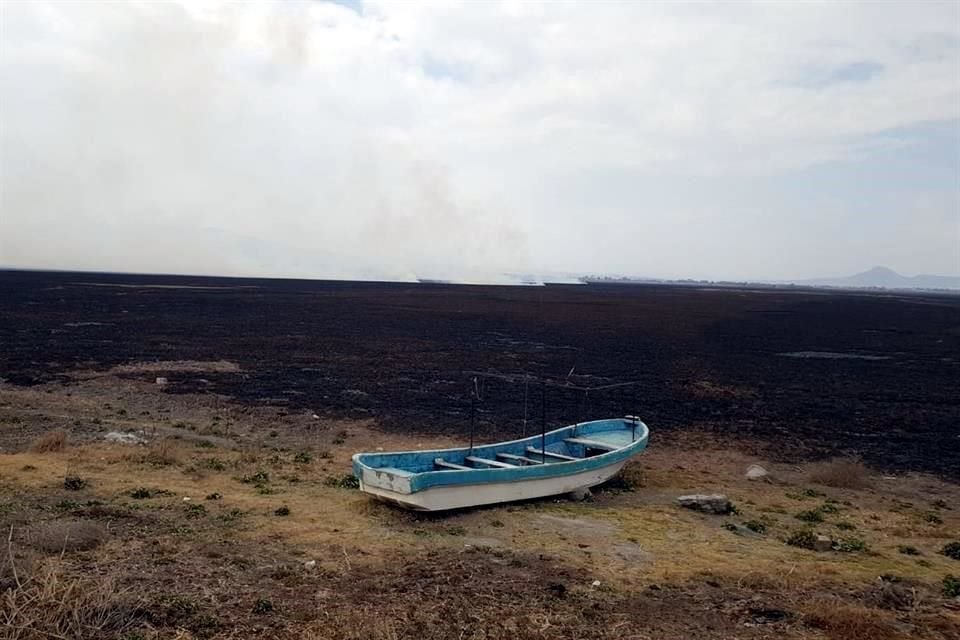 El humo blanco llegó a colonias de Zumpango, San Juan Zitlaltepec y Teoloyucan que rodean la laguna.