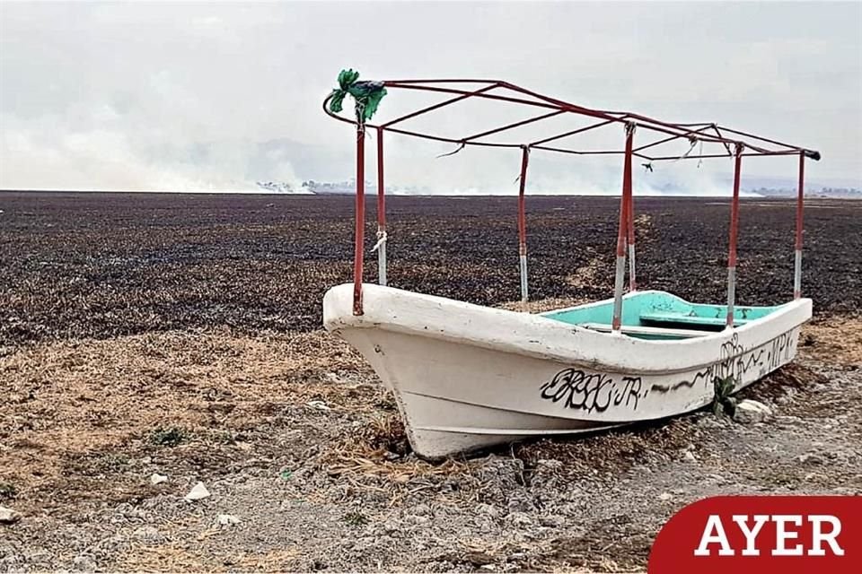  Las brasas que terminaban de quemarse generaron una cortina blanca de humo.