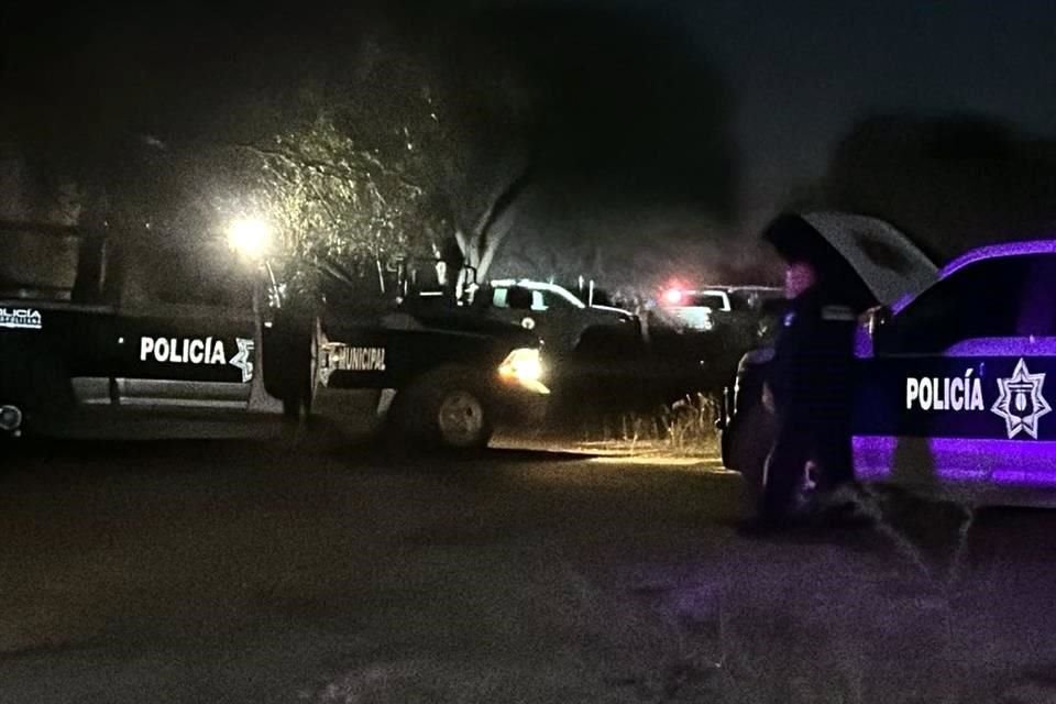 Los cadáveres de tres hombres fueron hallados dentro de una tumba clandestina, descubierta en un predio de la Colonia Santa Cruz del Valle.