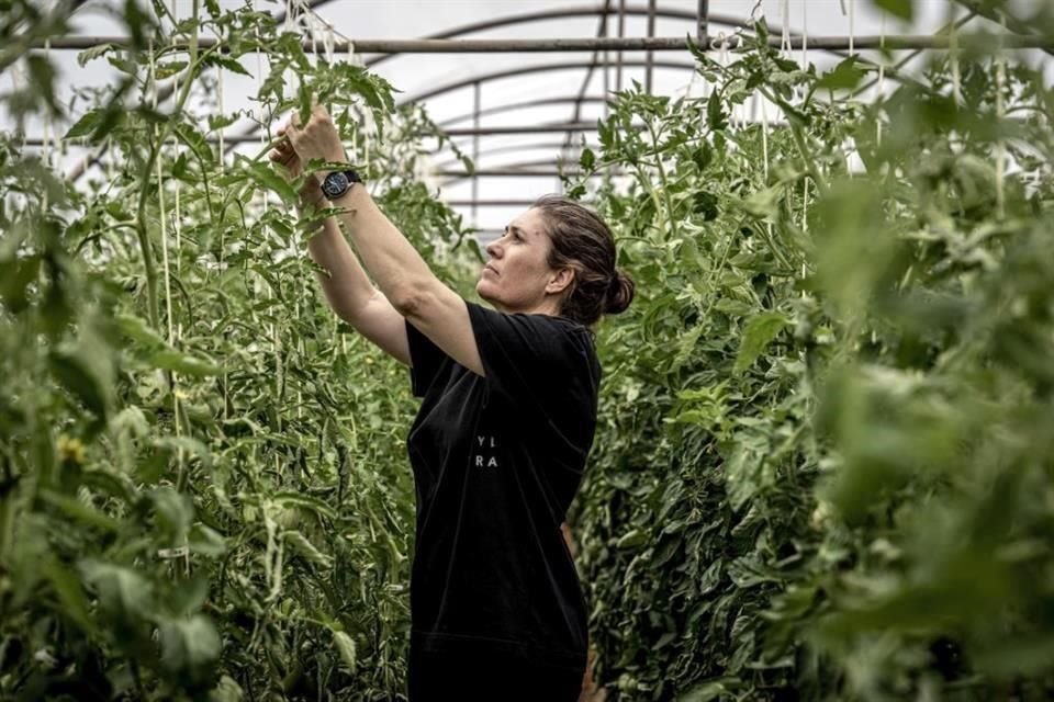 Maca de Castro posee dos estrellas Michelin, una de ellas verde, por su compromiso con la cocina sustentable.