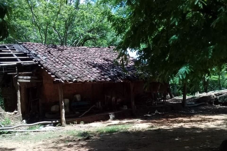 Desplazados de sierra de Guerrero han abandonado sus hogares por violencia de grupos criminales.