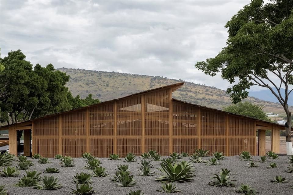 Instalaciones de una planta de producción de mezcal, en Jiquilpan.
