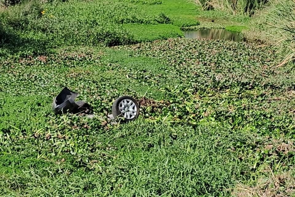 El auto quedó atrapado en el canal por los lirios que hay en el canal.