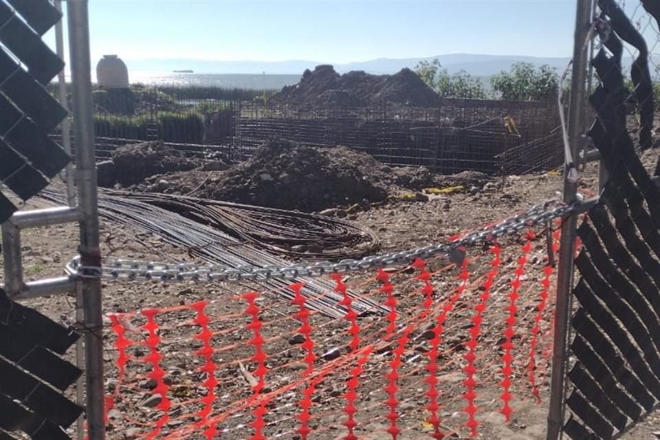 Advierten que vegetación de los humedales del Lago de Chapala está siendo afectada por los trabajos de urbanización realizados en la zona.