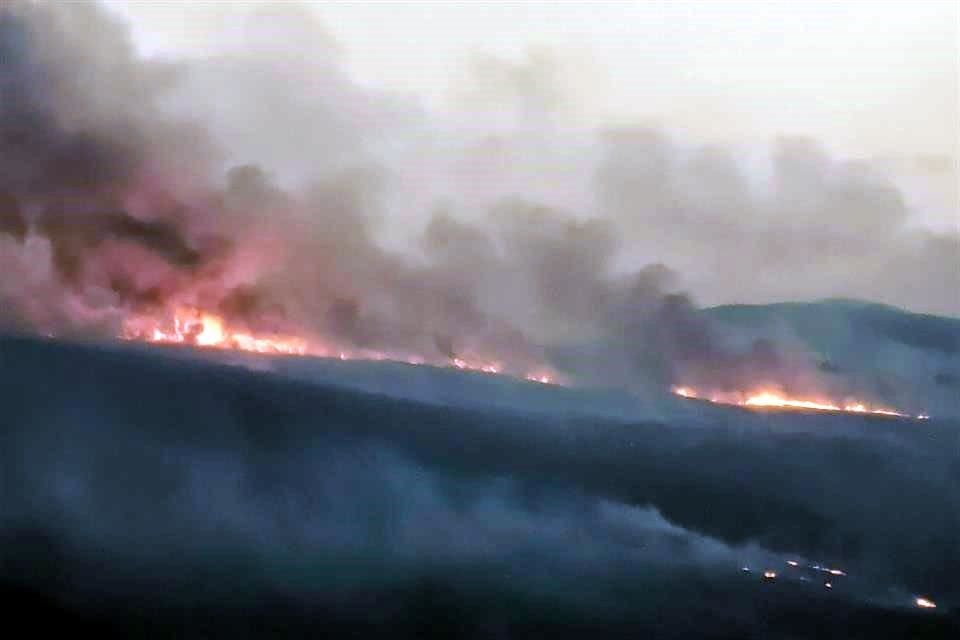 Un total de 280 incendios en pastizales, baldíos y bosques se han combatido en lo que va del año en Tlajomulco; no ha habido sanciones.