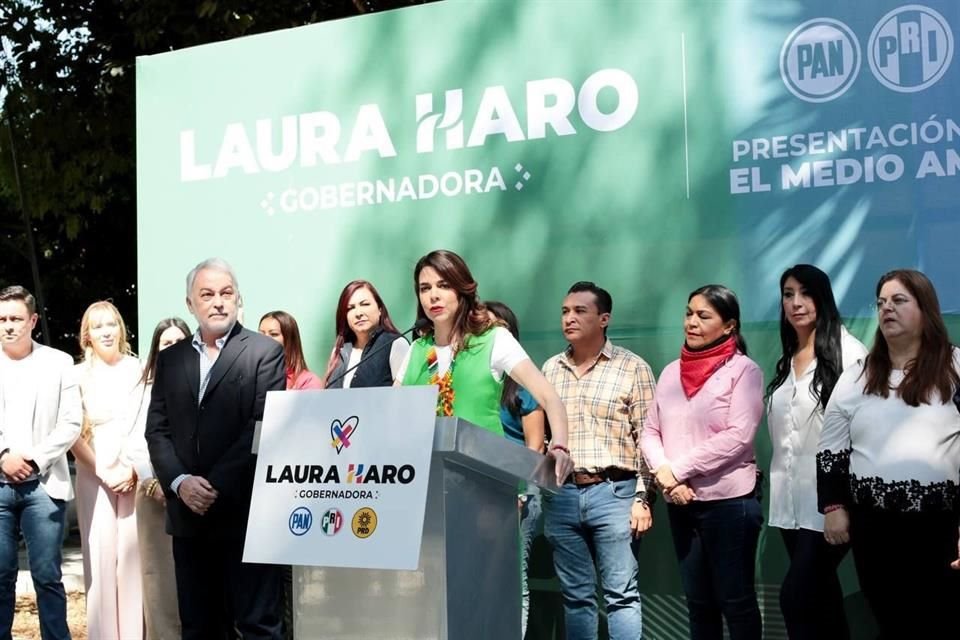 La agenda ambiental de Laura Haro involucra cuatro ejes: gestión integral del territorio, del sector productivo, del impacto ambiental y de contaminación.