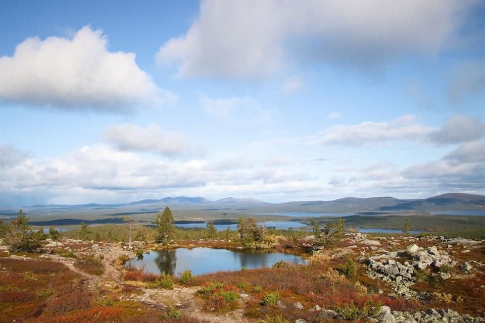 Finlandia consolidó su lugar de país más feliz del mundo por séptima vez consecutiva, según un informe patrocinado por la ONU.