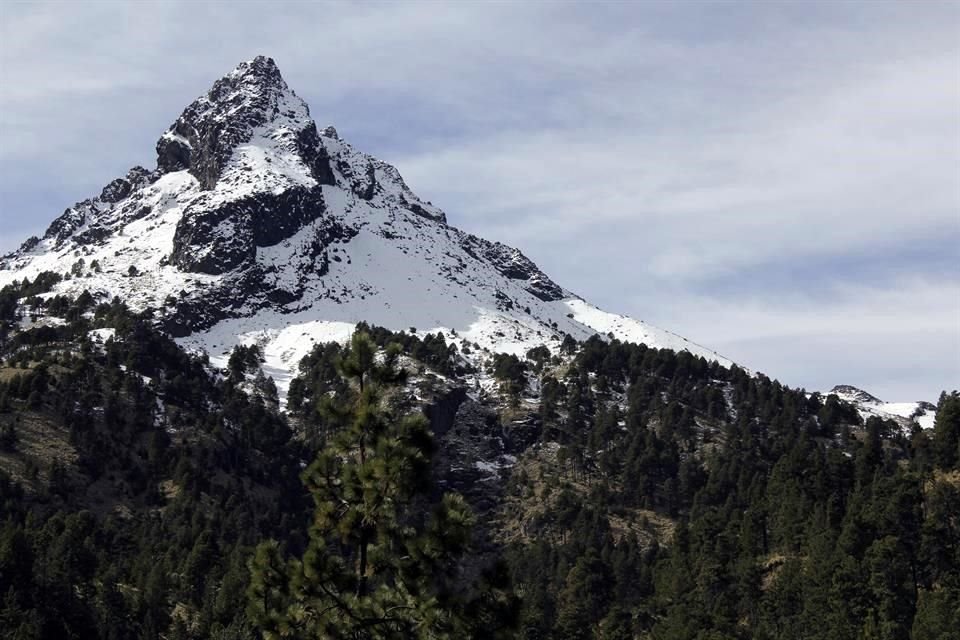 Cumple 12 años el decreto de protección del Parque Estatal Bosque Mesófilo Nevado de Colima.