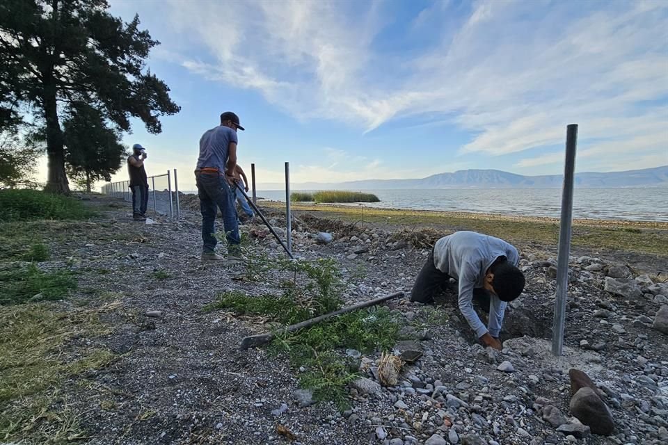 El Ayuntamiento de Chapala quitó la malla que había puesto en la zona federal y se adelantó a la convocatoria ciudadana para retirarla.