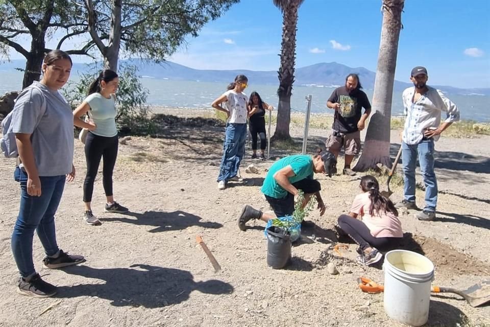 El Ayuntamiento de Chapala quitó la malla que había puesto en la zona federal y se adelantó a la convocatoria ciudadana para retirarla.