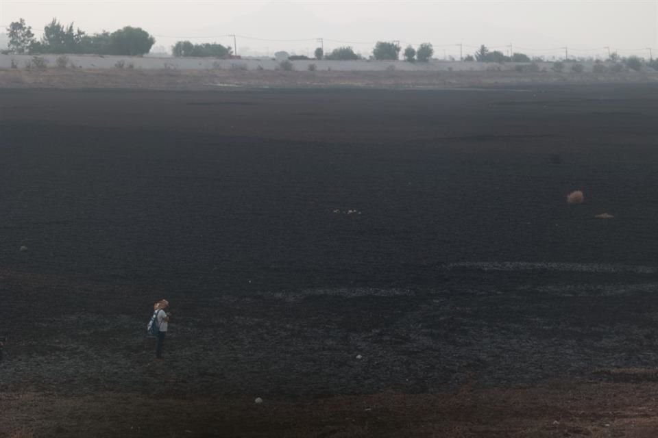 El Lago de Zumpango fue habilitado en 1976 como una zona de almacenamiento de agua residual para evitar inundaciones en lluvias.  