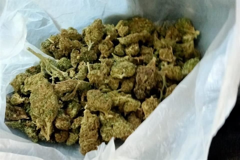 Las drogas fueron aseguradas y llevadas a la Fiscalía.