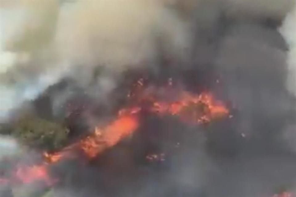 Una fuerte columna de humo se ha expandido por el Poniente del AMG debido a un incendio en el bosque La Primavera, en el municipio de Tala.