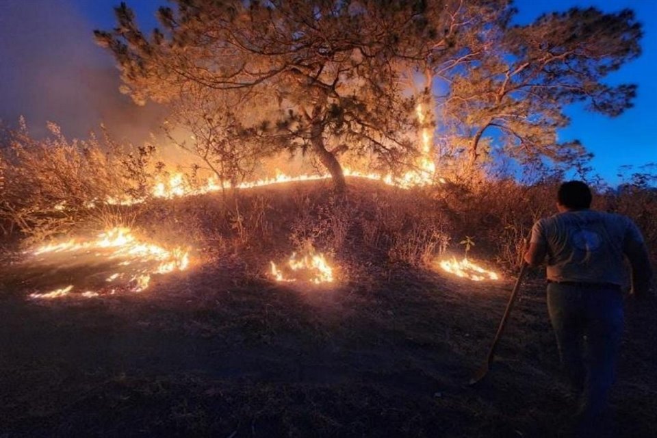 De los 40 incendios que ha sufrido La Primavera, 26 han comenzado dentro del polígono protegido y han quemado 697 hectáreas forestales.