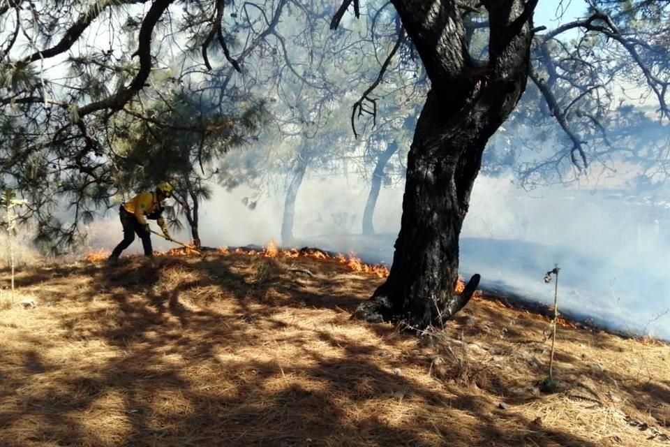 Este es el cuarto incendio dentro del Área Natural Protegida en menos de una semana.