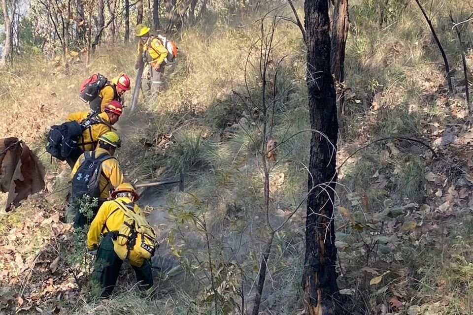 Autoridades reportaron que 40 bomberos de Semadet y Protección Civil trabajaron durante casi 12 horas de forma conjunta para extinguir el incendio en San José de la Montaña.