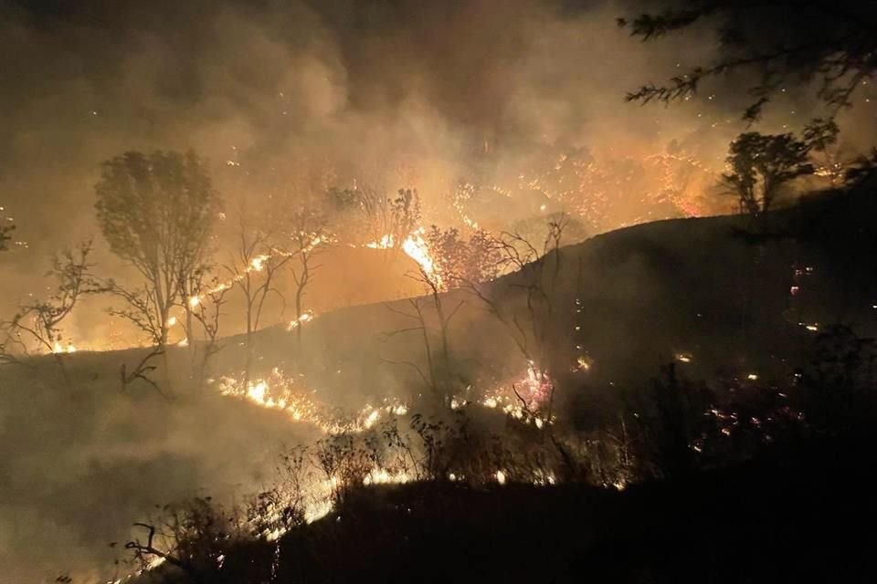 A pesar de que el incendio en San José de la Montañana en el ANP de La Primavera fue sofocado, otro se registró dentro del bosque pero del lado de Tala.