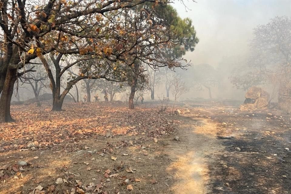 Ayer en la madrugada fue extinguido el incendio en San José de la Montaña.