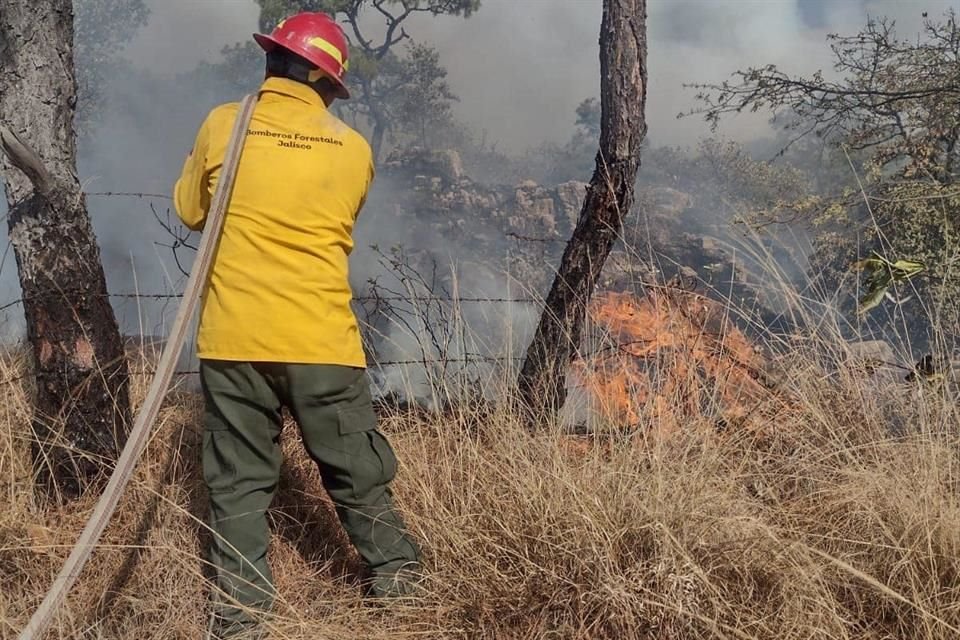 Hasta las 17:00 horas de ayer, 91 brigadistas combatían el fuego en Mesa del Nopal.
