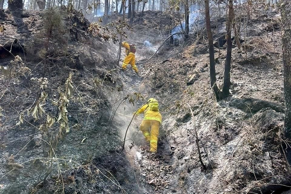 En los primeros 15 días de abril, superficie forestal quemada se cuadruplicó respecto a la que se había registrado hasta el 30 de marzo.