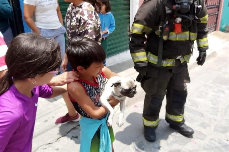 Un incendio se propagó en una casa de dos pisos y en la azotea había dos perritos que fueron rescatados por bomberos de Guadalajara.