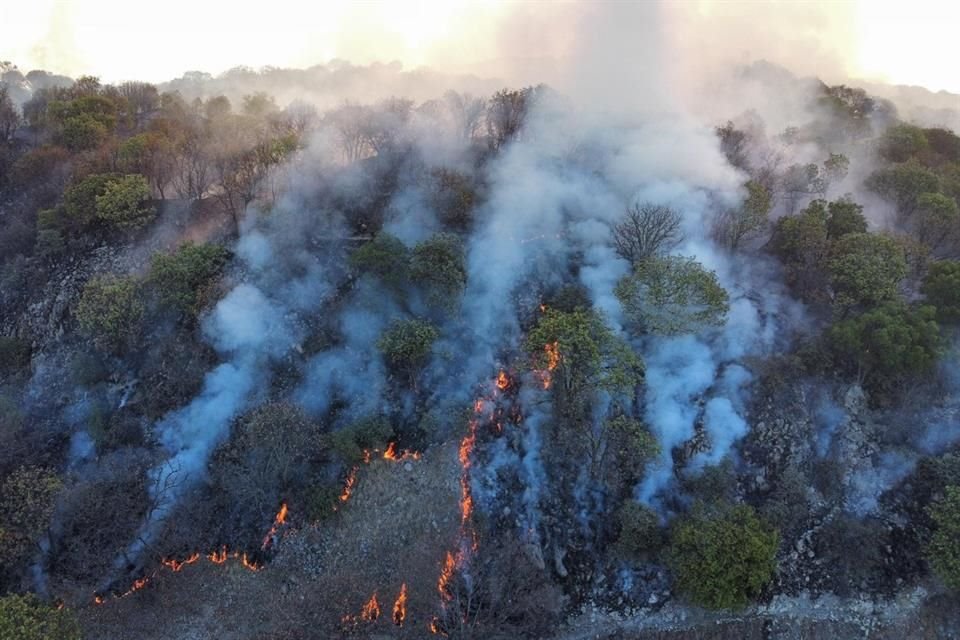 Esta madrugada inició un incendio forestal en el Cerro del Colli, dentro del bosque La Primavera; el Gobernador Enrique Alfaro informó que ya se combate.