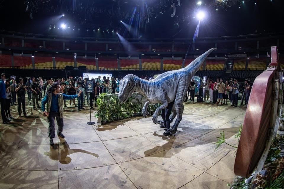 Uno de los personajes más queridos es la velociraptor hembra Blue.