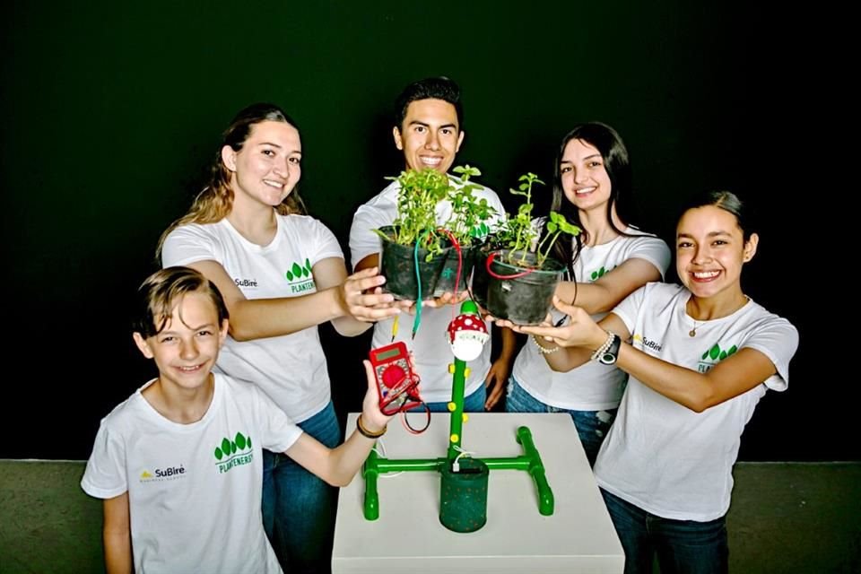 El equipo utilizó dos tipos de plantas para su investigación: Menta y Lengua de Suegra.