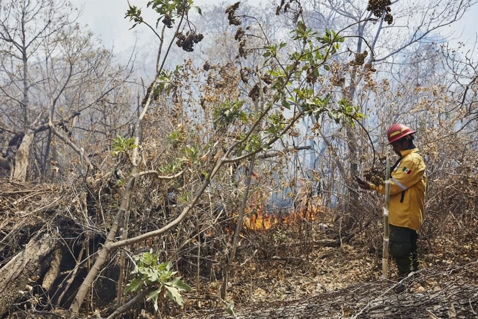 Cuatro incendios forestales activaron una alerta atmosférica en Atoyac, Unión De Guadalupe, Gómez Farías, Sayula y Ciudad Guzmán.