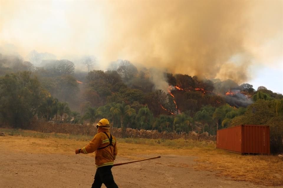 Es el siniestro número 50 dentro del bosque La Primavera.