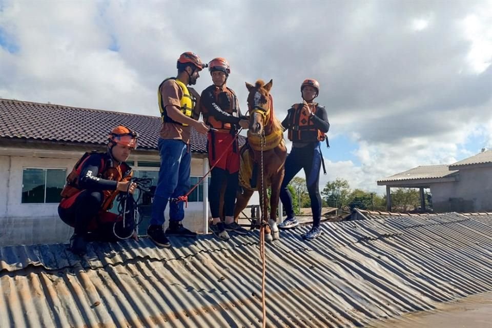 Personal de emergencia rescataron a un caballo atrapado en una azotea en Brasil.