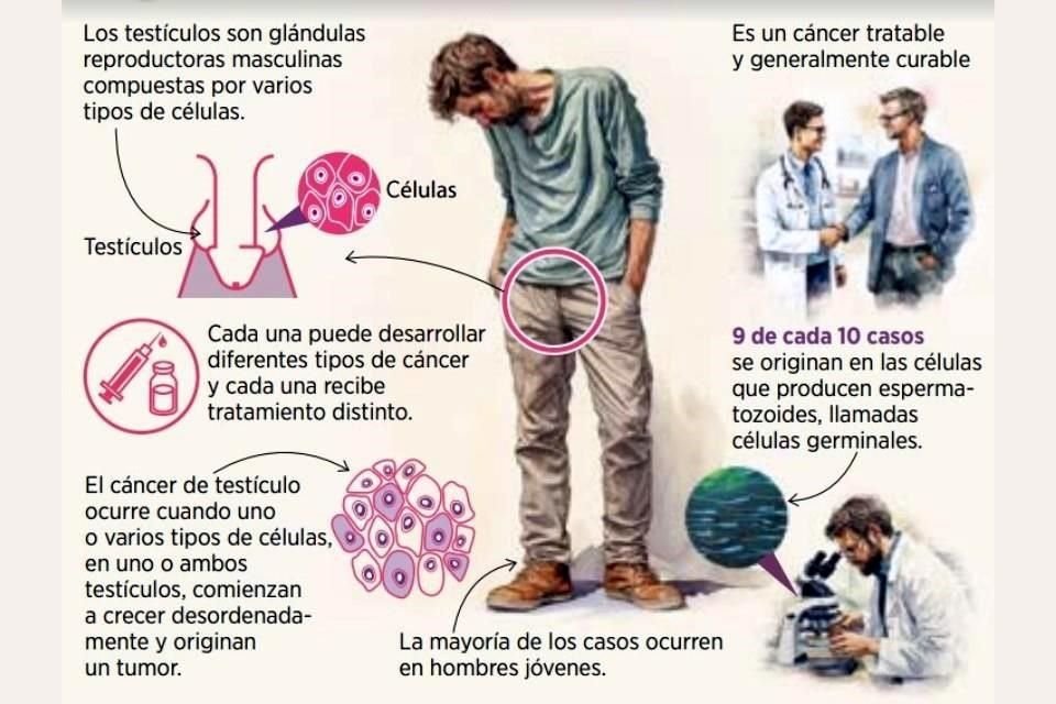 El cáncer testicular es tratable y curable, pero la atención oportuna es clave.